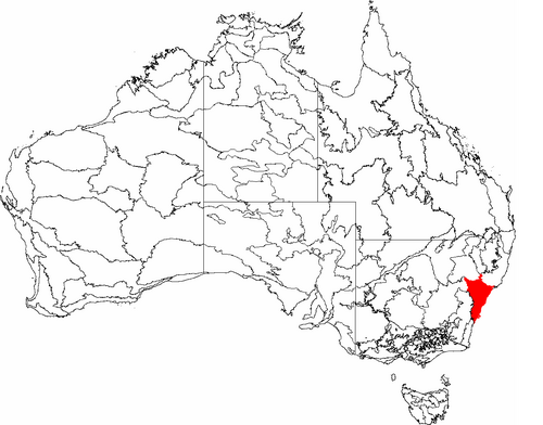 Dharug people